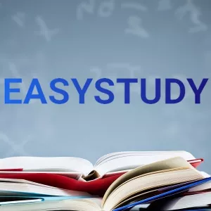 Заказать эссе