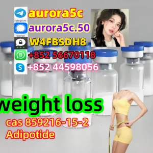 Weight Loss Peptides Adipotide Ftpp CAS 859216-15-2