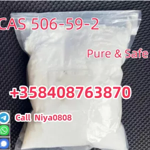 Cas 506-59-2 Dimethylamine hydrochloride powder high purity