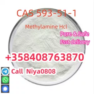 High quality CAS 593-51-1 Methylamine hydrochloride good price