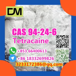 Factory Supply  CAS 94-24-6 High Quality Tetracaine