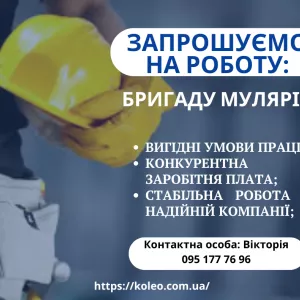 Бригада мулярів на будівництво