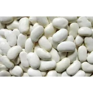 Куплю квасолю білу оптом