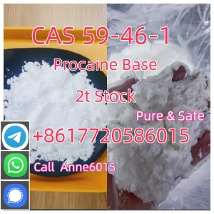 cas 59-46-1 procaine powder for sale with safe delivery