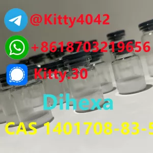 Dihexa CAS 1401708-83-5