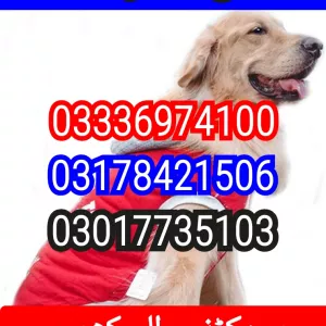 Army dog center rawalpindi 03132629100