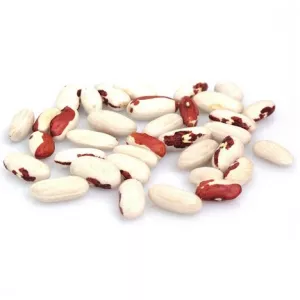 Купуємо оптом квасолю