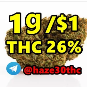 Sativa, Jet Fuel Gelato, White Widow, Zkittlez, Purple Runts,