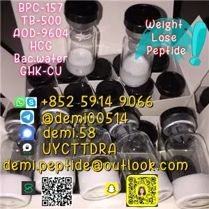 Supply CAS 623172-56-5 99% Purity Raw Powder Palmitoyl Tripepitde-5