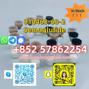 Cagrilintide cas 1415456-99-3 wholesale price 99% peptides