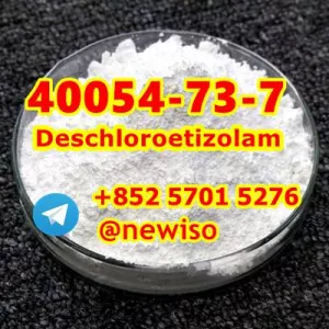 CAS 40054-73-7 Deschloroetizolam Adinazolam Clonazolam Deschloroclotizolam