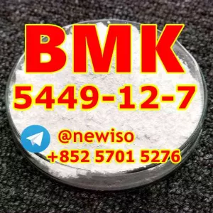 CAS 5449-12-7 BMK Glycidic Acid (sodium salt) BMK BMK Powder and BMK Oil BMK Glycidic Acid powder