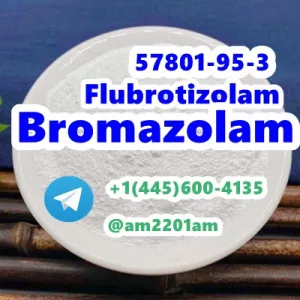 Bromazolam Deschloroetizolam Flubrotizolam Flubromazolam Nitrazolam