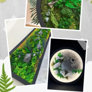 Живые картины, панно, декор из мха в Алматы.