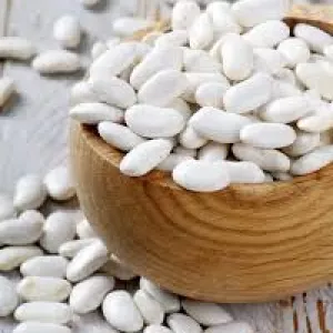 Закуповуємо білу квасолю для переробки.