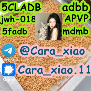 China 5CL-ADB supplier 5cl 5cladba 5cl adb vendor