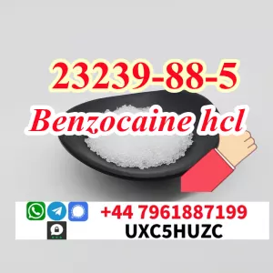 Benzocaine hcl CAS 23239-88-5 Factory Price Chinese Supplier