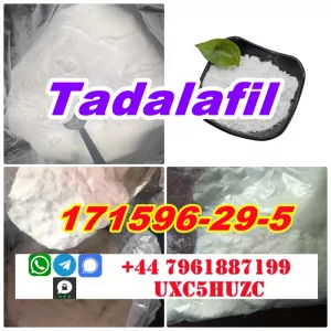 Tadalafil cas 171596-29-5 provide Sample good effect