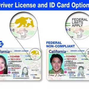 Buy Chinese ID Card Online