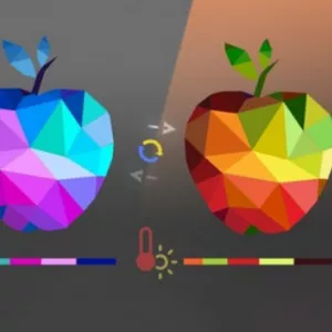 Курсы Photoshop