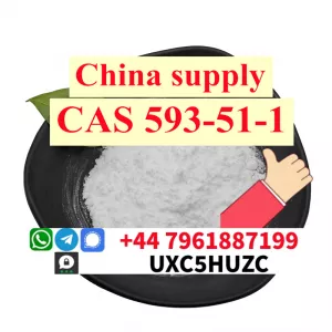 Chinese supplier Methylamine hydrochloride 593-51-1 Factory Supply