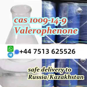 cas 1009-14-9 Valerophenone door to door safe delivery to Russia