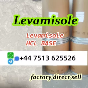 cas 14769-73-4 Levamisole powder base and hcl high purity