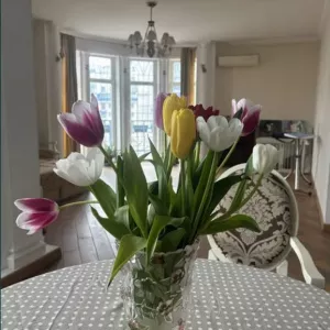 3х к кв пер Мукачевский