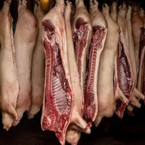Свинина в полутушах, субпродукты и головы - опт и розница