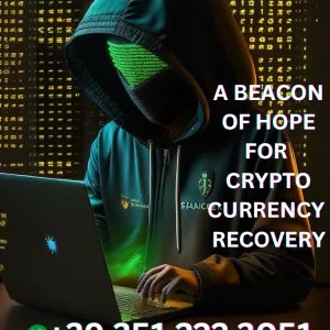 Can scammed cryptocurrency be recovered? Yes through Paradox Recovery Wizard.