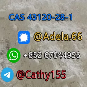 Synthetic Chemicals Cas 43120-28-1 1H-Indazole-3-Carboxylic Acid Methyl Ester