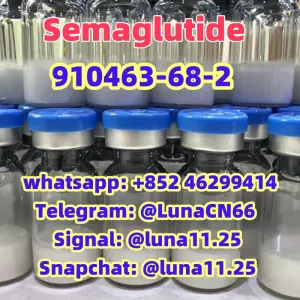 Weight Loss Peptide Semaglutide 910463-68-2