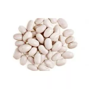 Закуповуємо квасолю білих сортів для потреб виробництва
