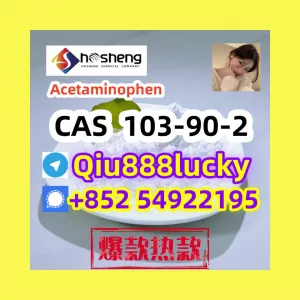 103-90-2 Acetaminophen