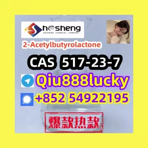 517-23-7 2-Acetylbutyrolactone