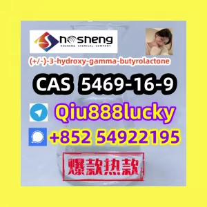 5469-16-9 (+/-)-3-hydroxy-gamma-butyrolactone