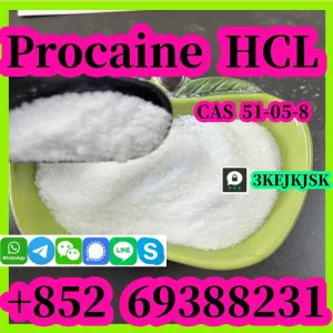 Best quality Procaine hydrochloride CAS 51-05-8 China manufacturer 99% purity