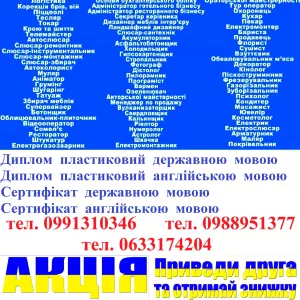 Курси піццеолі