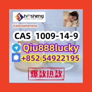 cas1009-14-9 Valerophenone