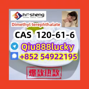 cas120-61-6 Dimethyl terephthalate