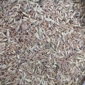 Постійно купуємо зерновідходи, некондицію. Працюємо з посередниками