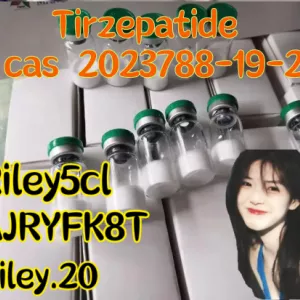 Top Quality Raw Peptide Tirzepatide CAS 2023788-19 2 Tirzepatid