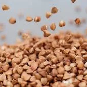 Продаємо зерно гречки, відвантаження від 5 тонн