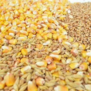 Закупка половинок сої, битої кукурудзи