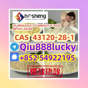 43120-28-1 1H-INDAZOLE-3-CARBOXYLIC ACID METHYL ESTER VVVVV