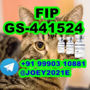 GS-441524 cat Fip