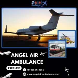 You are Looking for The best Air and Train Ambulance Service in Bhopal | Angel Air Ambulance