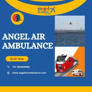 You are Looking for The Top Air and Train Ambulance Service in Allahabad | Angel Air Ambulance