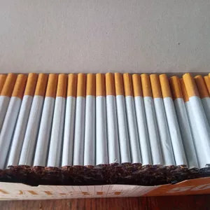 домашні цигрки