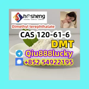 120-61-6 Dimethyl terephthalate dmt